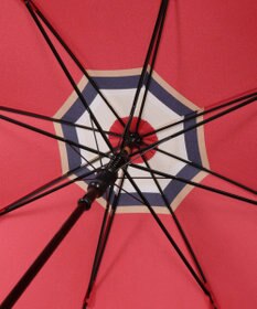 MOONBAT 【日本製/ジャンプ傘】POLO RALPH LAUREN（ポロ ラルフローレン） 長傘 マルチボーダー