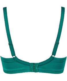 Wing Wing Lesiage 【1000シリーズ】 3/4カップブラ PB1001 ウイング／ワコール