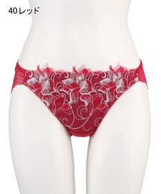 San-ai Resort（三愛水着楽園） エレガントコレクション2311ノーマルショーツ  【M・Lサイズ】【northerly】