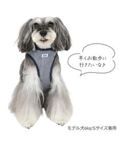 PET PARADISE Lee ヒッコリー ロゴ リュック付きハーネス ＳＳ 小型犬