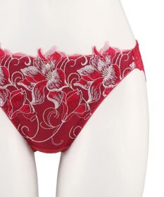 San-ai Resort（三愛水着楽園） エレガントコレクション2311ノーマルショーツ  【M・Lサイズ】【northerly】