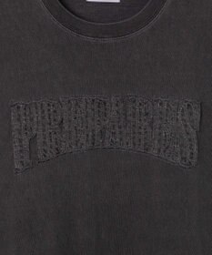 WEGO ピグメントダメージアップリケT（S）