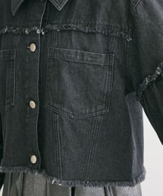 Green Parks ・ＤＯＵＢＬＥ　ＦＬＡＧＳ　フレアスリーブＧジャン