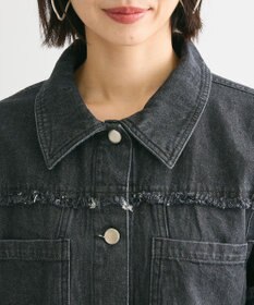 Green Parks ・ＤＯＵＢＬＥ　ＦＬＡＧＳ　フレアスリーブＧジャン