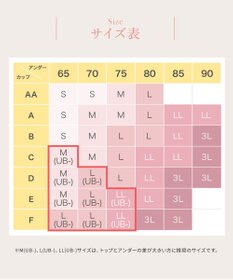 Wing 【マッチミーブラ　ノンワイヤー】 きれいなバストシルエット 快適なつけごこち S~3L KB2071 ウイング／ワコール