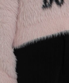 WEGO ロゴシャギーショートニット