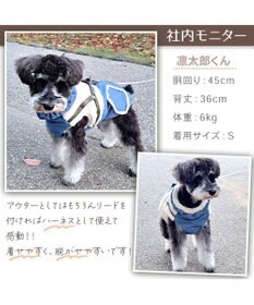 PET PARADISE Lee アウターハーネス 《牛柄》 小型犬