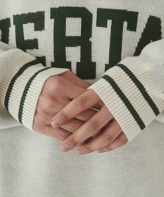 WEGO 【ユニセックス着用ITEM】ラインリブゲームロゴプルオーバー