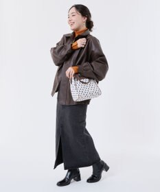 LeSportsac N/S MINI SATCHEL/ホースパレード