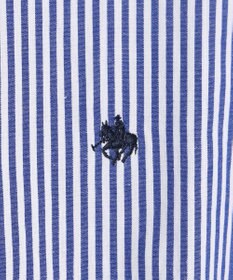 ANY 【POLO BCS別注】プレッピークロップドシャツ