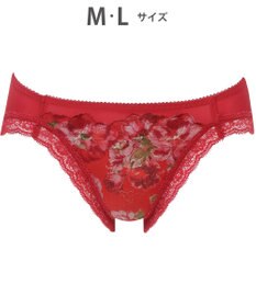 WACOAL ショーツ 【ハグするブラ】BRB488とペア はきこみ丈あさめ バックはナイロンベア天竺素材 レディース PRA188 /ワコール