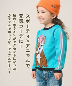 ami amie 紳士のフレブルプルオーバーFree Size