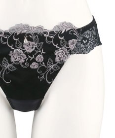 San-ai Resort（三愛水着楽園） エレガントコレクション2404Tショーツ  【northerly】