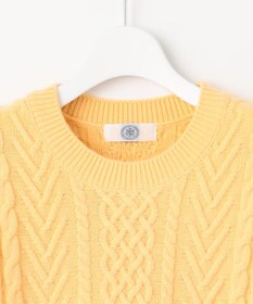 J.PRESS LADIES L 【WEB限定カラーあり・洗える】EIGER CORD ALAN クルーネックプルオーバー ニット