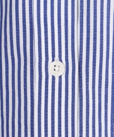 ANY 【POLO BCS別注】プレッピークロップドシャツ