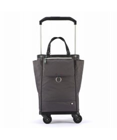 ACE BAGS & LUGGAGE soelte オートュイユ お買い物キャリー 21L 35981 ソエルテ ソフトスーツケース