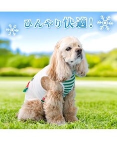 PET PARADISE  スヌーピー スイカポケット タンクトップ 中型犬 大型犬