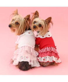 PET PARADISE ペットパラダイス 苺刺繍 ワンピース  スカラップカラー 《レッド》 小型犬