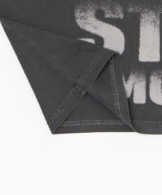 WEGO 【ユニセックス着用ITEM/MLサイズ展開】クロップドグラフィックT（SS）