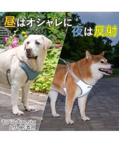 PET PARADISE ペットパラダイス 超反射 切り替え ハーネス＆リード ＳＭ 《ブルーグリーン》
