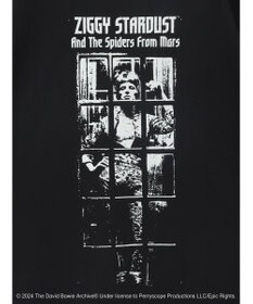 Green Parks ■Ｄａｖｉｄ　Ｂｏｗｉｅ　ＡＬＢＵＭ　ＣＯＶＥＲ　ＴＥＥ