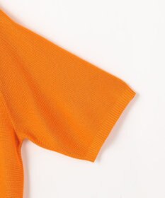 ANY L アクリルガーターポロ衿ニット