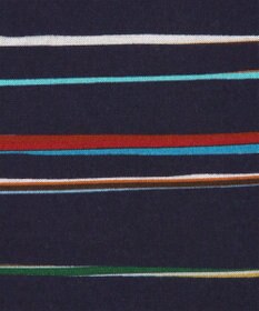 Paul Smith Signature Pinstripe 半袖Tシャツ