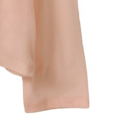 AMERICAN HOLIC バック切替シアー長袖トップス