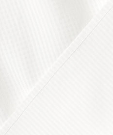 J.PRESS LADIES S 【洗える】アセVisシャドーギンガム タック ブラウス