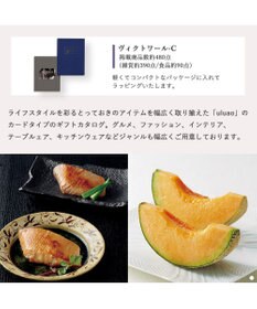 antina gift studio uluao(ウルアオ) e-order choice(カードカタログ) ＜ヴィクトワール カード＞