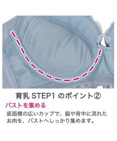 BRADELIS New York 【BRADELIS New York / 育乳補整ブラ・STEP1 集める】ウェンディソフトステップ1ブラ25S1 補正下着 補正 ブラジャー