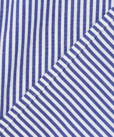 ANY 【POLO BCS別注】プレッピークロップドシャツ