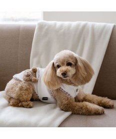 PET PARADISE ペットパラダイス サーモキープ タンクトップ 《ポンポンくまちゃん》 超小型犬 小型犬