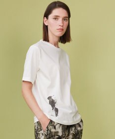 JOSEPH ABBOUD MOUNTAIN 【日本製・アーティストコラボレーション】プレーティング天竺Tシャツ ホワイト系キツツキ