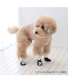 PET PARADISE スヌーピー makokoro スリット 靴下 Ｓ 小型犬