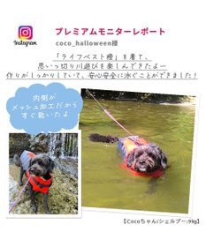 PET PARADISE ペットパラダイス ライフベスト【ＳＳ～Ｓ】 《オレンジ》