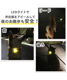 犬 散歩 夜 光る ミニオン ＬＥＤ お散歩ライト | グッズ おさんぽ