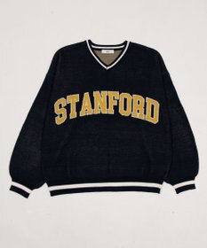 WEGO VネックグラフィックニットBIGプルオーバー