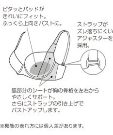 WACOAL ブラジャー 【シャキッとした姿勢に】 ふっくら上向きバスト ストラップがずれ落ちにくい レディース BED020 /ワコール