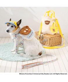 PET PARADISE ミニオン ティム お花柄 リード ＳＳ～Ｓ