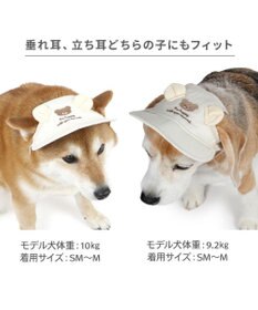 PET PARADISE ペットパラダイス くまちゃん 刺繍帽子 ＳＭ～Ｍ/Ｌ