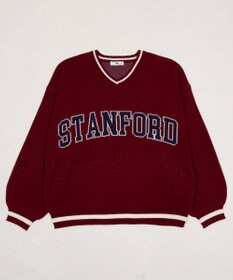 WEGO VネックグラフィックニットBIGプルオーバー