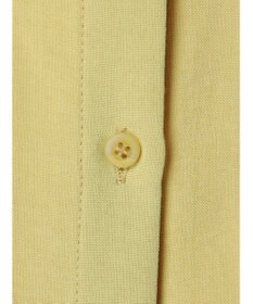 Green Parks フレンチスリーブタックブラウス