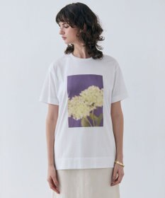 BEIGE， 【洗える・クロワッサン 掲載】PENTAS / オリジナルフォトプリントＴシャツ
