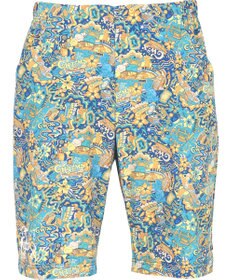 CW-X 【MEN】 CW-X 【CHUMS (チャムス)コラボ】 メンズボトムス ハーフパンツ はっ水(本体) UVカット率90％以上（本体） ひざ上丈 メンズ LNO520 /ワコール