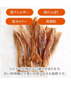 PET PARADISE 馬アキレス デンタル ジャーキー 100g 国産