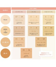 YA-MAN オンリーミネラル　ファンデーション 5g　マットタイプ
