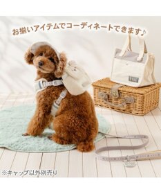 PET PARADISE ペットパラダイス くまちゃん 刺繍帽子 ４Ｓ～３Ｓ/ＳＳ～Ｓ