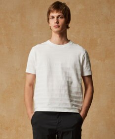 JOSEPH ABBOUD 【オーガニックコットン使用・日本素材】リンクスボーダー Tシャツ