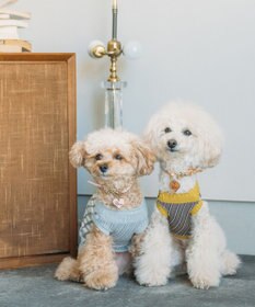 COQ ＜飼い主と愛犬のリンクコーデ＞【小型～中型犬】EVER CROSS ドッグウェア